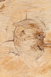 Similar image 633735