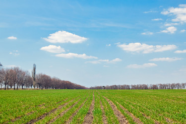 Similar image 633736