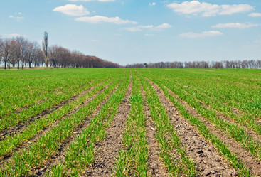 Similar image 633738