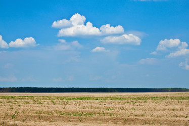 Similar image 633744