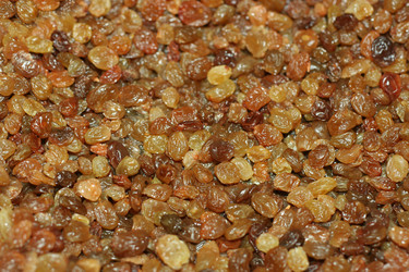 Similar image 633819