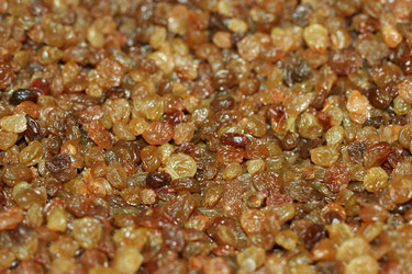 Similar image 633822