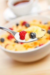 Similar image 633929