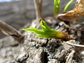 Similar image 634000