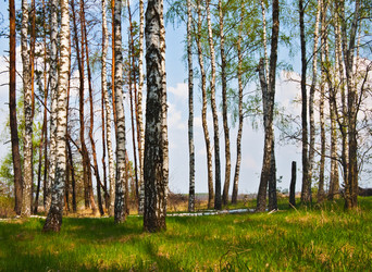 Similar image 634042