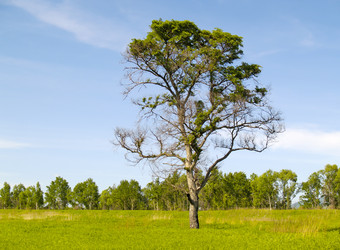 Similar image 634059