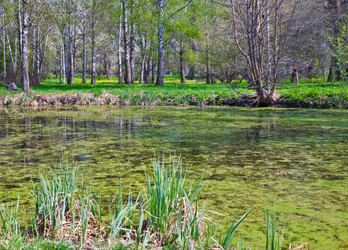 Similar image 634060