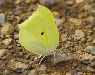 Similar image 634085