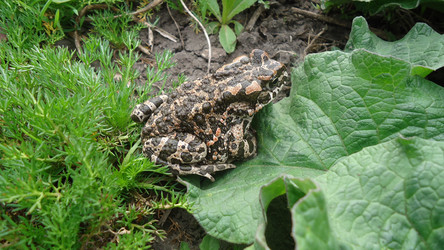 Similar image 634179