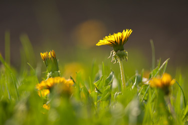 Similar image 634238