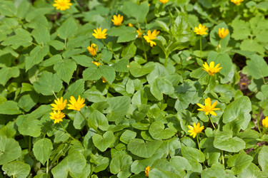 Similar image 634240