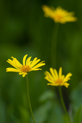 Similar image 634241