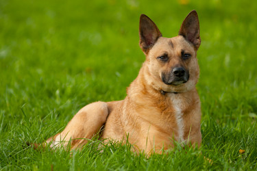 Similar image 634244