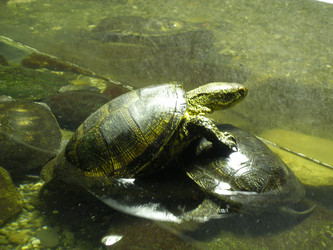 Similar image 634255