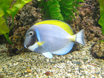 Similar image 634256