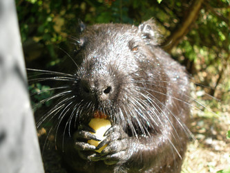 Similar image 634257