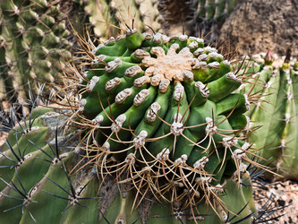 Similar image 634279