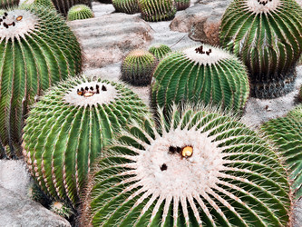 Similar image 634282