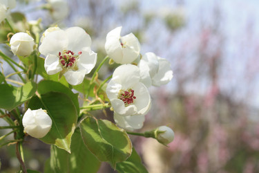 Similar image 634295