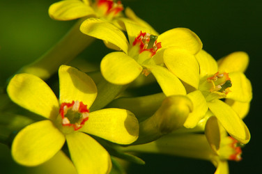 Similar image 634314