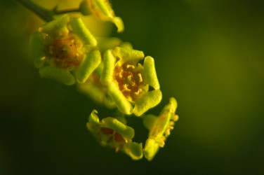 Similar image 634315