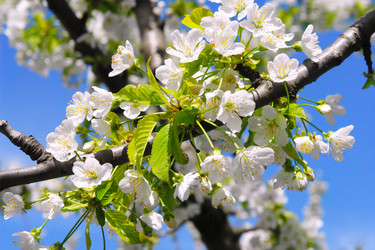 Similar image 634321