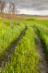 Similar image 634324