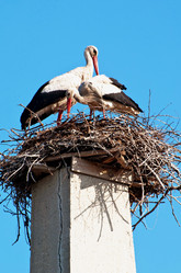 Similar image 634325