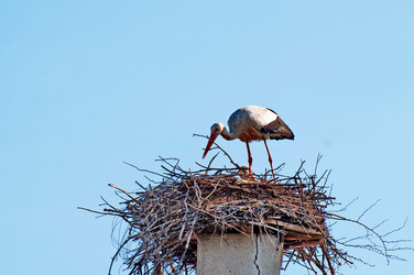 Similar image 634326