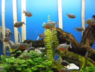 Similar image 634395