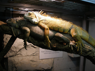 Similar image 634399