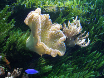 Similar image 634400