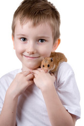 Similar image 634409