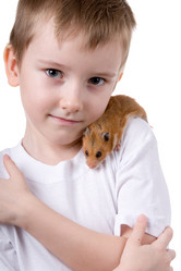 Similar image 634411