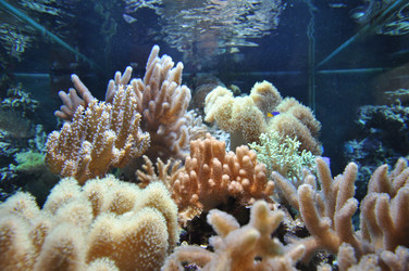 Similar image 634496