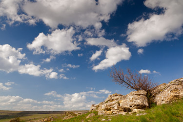 Similar image 634511