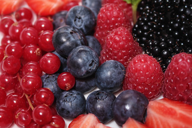 Similar image 634530