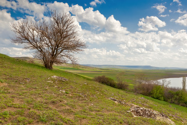 Similar image 634623