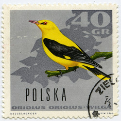 Similar image 634653