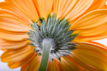 Similar image 634658