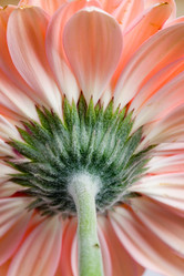 Similar image 634659