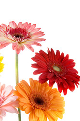 Similar image 634666