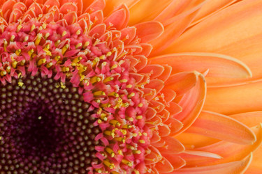 Similar image 634668