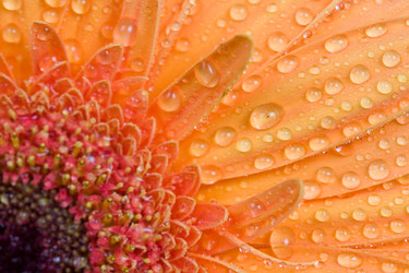 Similar image 634677