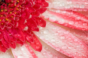 Similar image 634678