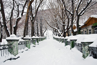 Similar image 634682