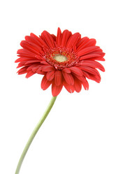 Similar image 634686