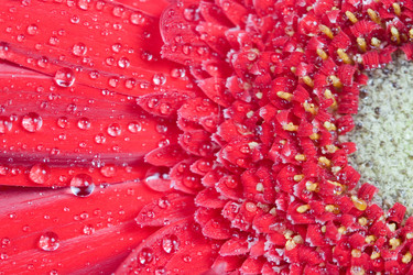 Similar image 634691