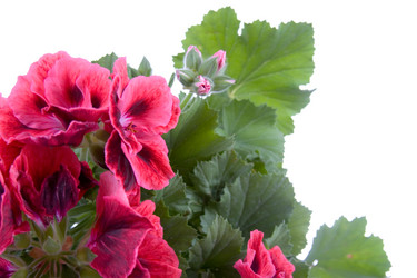 Similar image 634699