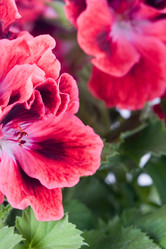 Similar image 634702